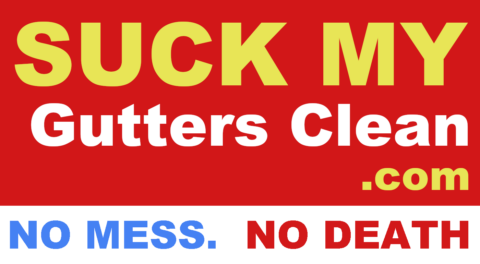Guru Gutter Cleaning logo